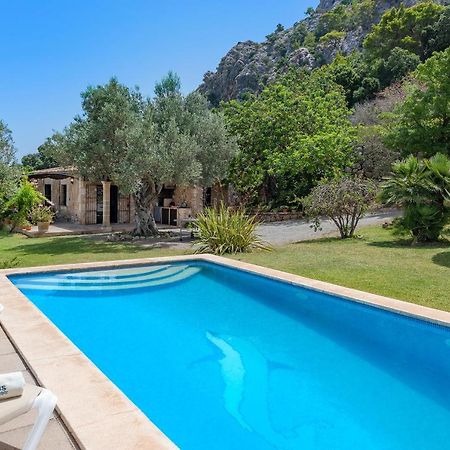Coster Puig Villa Pollença Eksteriør billede